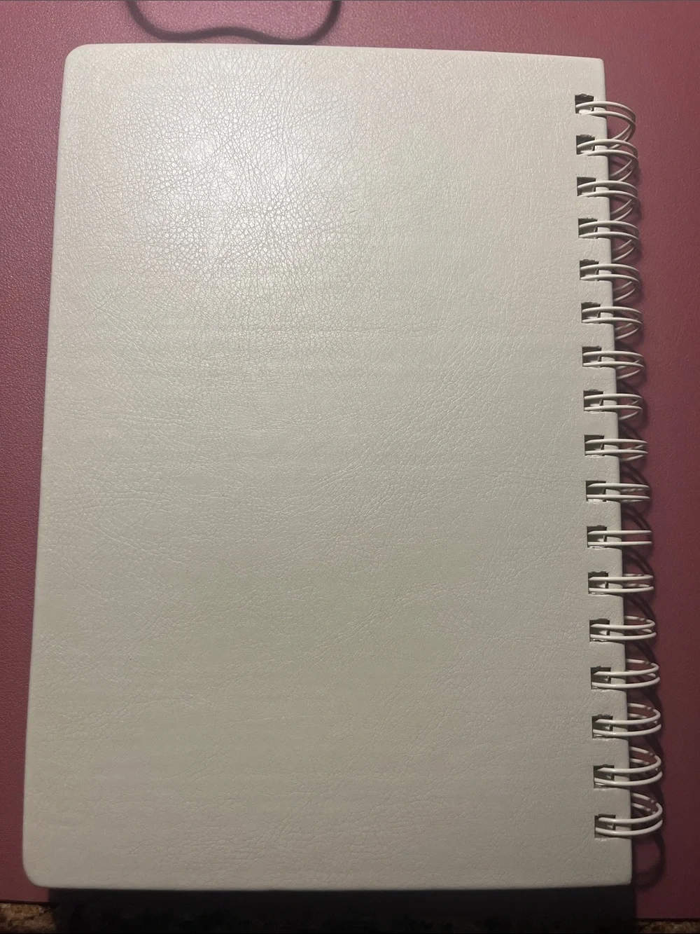 My Daily Check-In Spiral Notebook — White with Gold Text
